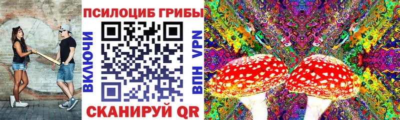 Псилоцибиновые грибы Magic Shrooms  Купить где  Клин 